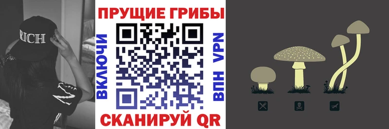 Купить закладки  Нурлат  Галлюциногенные грибы мицелий 
