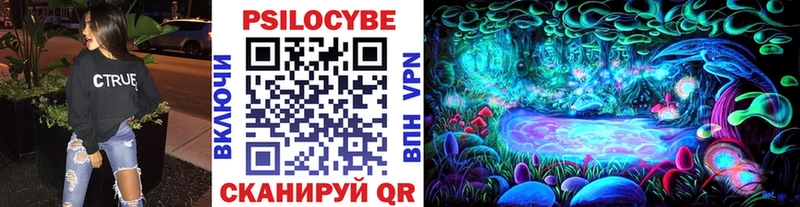 Псилоцибиновые грибы Cubensis Нурлат