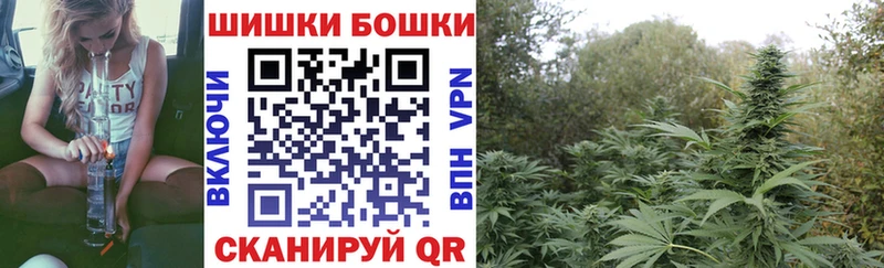 Купить Нурлат Шишки марихуана индика
